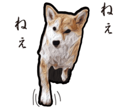 Shiba Inu Mame -Superrealism Edition- sticker #10799571
