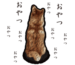 Shiba Inu Mame -Superrealism Edition- sticker #10799572