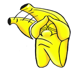 The BANANA sticker #10805328