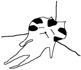 Soccer cat vol.2 sticker #10805494