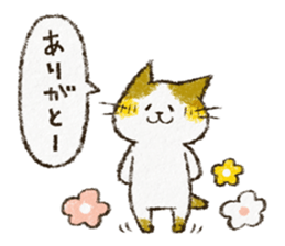 Cute cat 'Cyanpachi'. -Extra edition 3- sticker #10807384