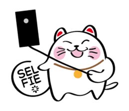 Lucky Momo The Camera Cat sticker #10809538