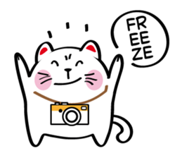 Lucky Momo The Camera Cat sticker #10809539