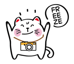 Lucky Momo The Camera Cat sticker #10809539