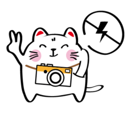 Lucky Momo The Camera Cat sticker #10809540