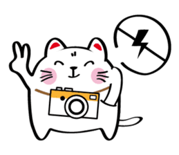 Lucky Momo The Camera Cat sticker #10809540