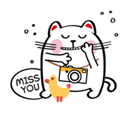 Lucky Momo The Camera Cat sticker #10809546