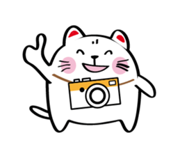 Lucky Momo The Camera Cat sticker #10809547