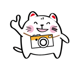 Lucky Momo The Camera Cat sticker #10809547