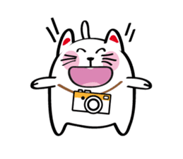 Lucky Momo The Camera Cat sticker #10809549