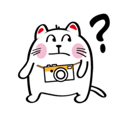 Lucky Momo The Camera Cat sticker #10809550