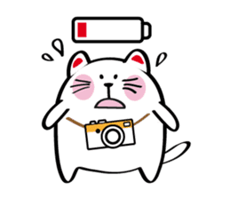 Lucky Momo The Camera Cat sticker #10809556