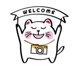 Lucky Momo The Camera Cat sticker #10809558