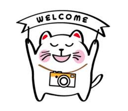 Lucky Momo The Camera Cat sticker #10809558