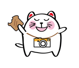 Lucky Momo The Camera Cat sticker #10809560