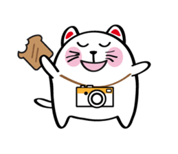 Lucky Momo The Camera Cat sticker #10809560