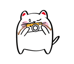 Lucky Momo The Camera Cat sticker #10809561
