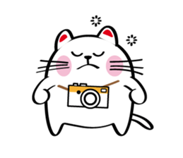 Lucky Momo The Camera Cat sticker #10809563