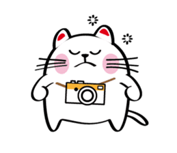 Lucky Momo The Camera Cat sticker #10809563