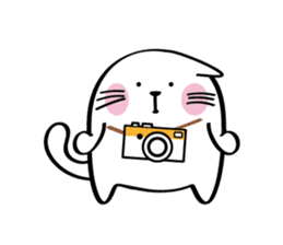 Lucky Momo The Camera Cat sticker #10809566