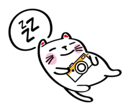 Lucky Momo The Camera Cat sticker #10809571