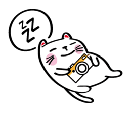 Lucky Momo The Camera Cat sticker #10809571