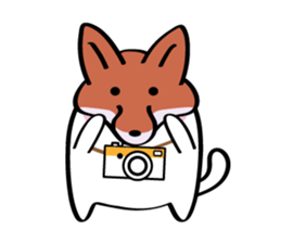 Lucky Momo The Camera Cat sticker #10809574
