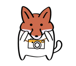 Lucky Momo The Camera Cat sticker #10809574