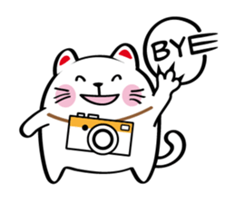 Lucky Momo The Camera Cat sticker #10809575