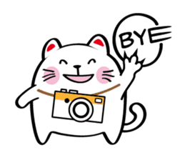Lucky Momo The Camera Cat sticker #10809575