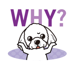 iinu - Bolognese sticker #10810941