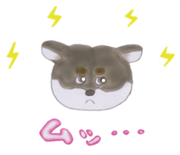 SHIBAINU:KUMA sticker #10813326