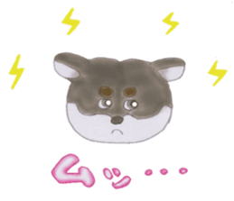 SHIBAINU:KUMA sticker #10813326