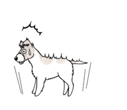 Jack Russell Terrier Sticker 3 sticker #10813516