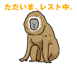 Climb Monkeys sticker #10814266