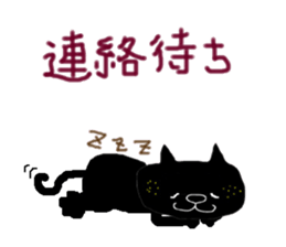 KUROSUKE of black cat (contact ver.2) sticker #10815447