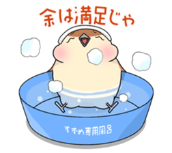 Lovable sparrow Mr sticker #10817195