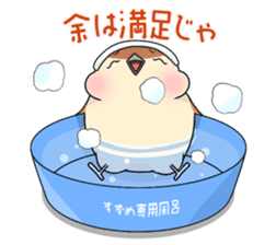 Lovable sparrow Mr sticker #10817195