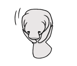 Perfectly round Manatee sticker #10818905