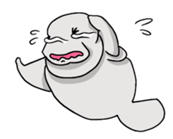 Perfectly round Manatee sticker #10818908
