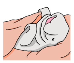 Perfectly round Manatee sticker #10818912