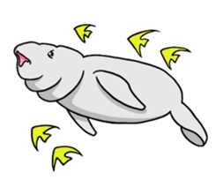 Perfectly round Manatee sticker #10818913