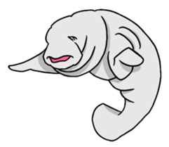 Perfectly round Manatee sticker #10818915