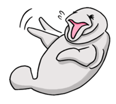 Perfectly round Manatee sticker #10818926