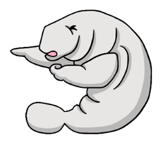 Perfectly round Manatee sticker #10818933