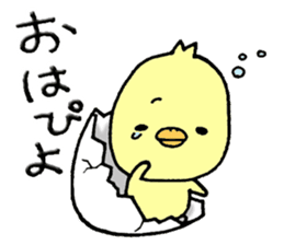 Chick of Naniwa sticker #10819776