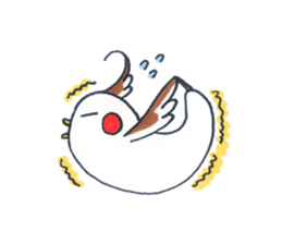 Daily Cockatiel 3 sticker #10823048
