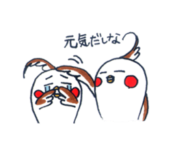 Daily Cockatiel 3 sticker #10823061