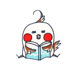 Daily Cockatiel 4 sticker #10830249