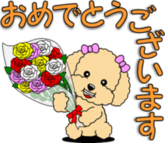 Congratulations sticker of Toy Poodle sticker #10830905